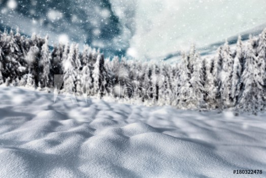 Bild på Weihnachtliche und verschneite Landschaft